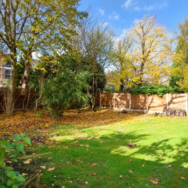 One Bedroom Flat Chorlton Other - image 8, Railton-Meeks lettings